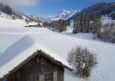 Berger-Eriz im Winter - loipe